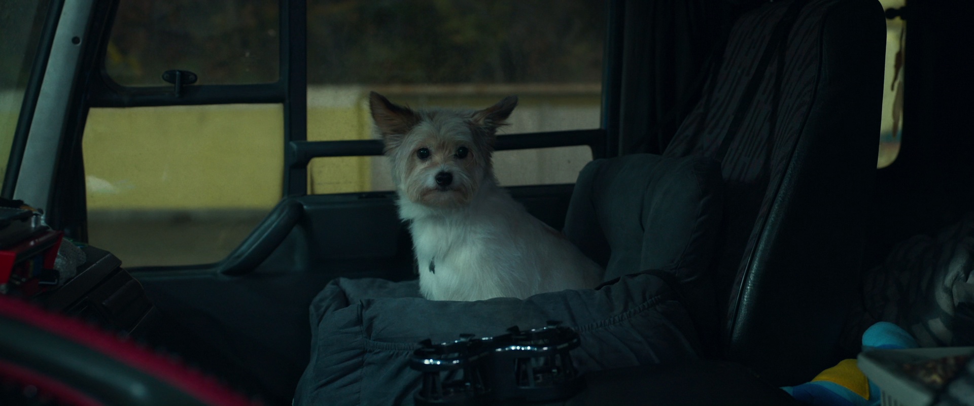 寂静计划